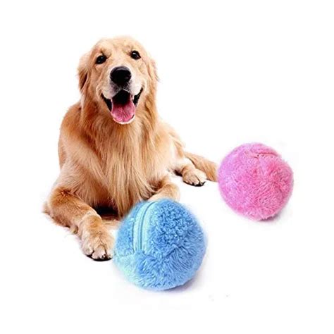 Why Every Dog Needs a Magic Roller Ball in Their Toy Collection